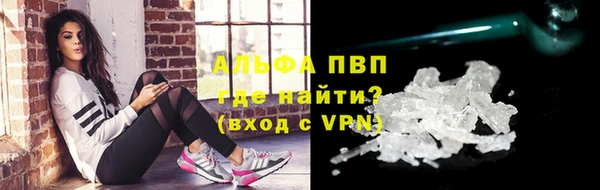гидра Бородино