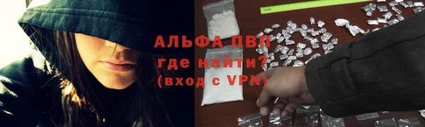 гидра Бородино