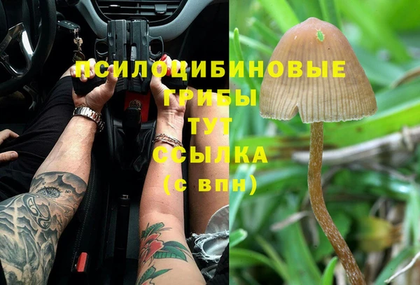 гидра Бородино