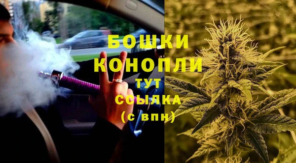 гидра Бородино