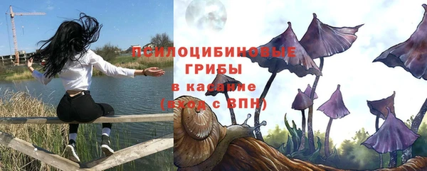 ГАЛЛЮЦИНОГЕННЫЕ ГРИБЫ Володарск