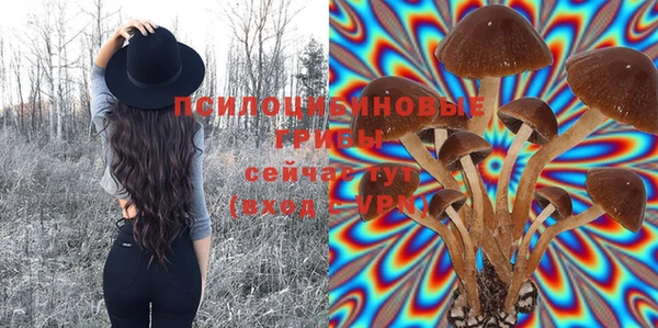 гашик Бугульма