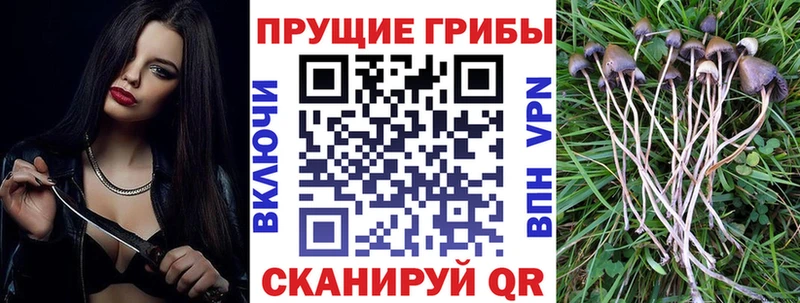 Псилоцибиновые грибы прущие грибы  Ейск 