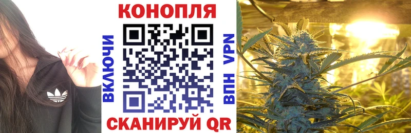 купить наркотик  Ейск  Шишки марихуана конопля 